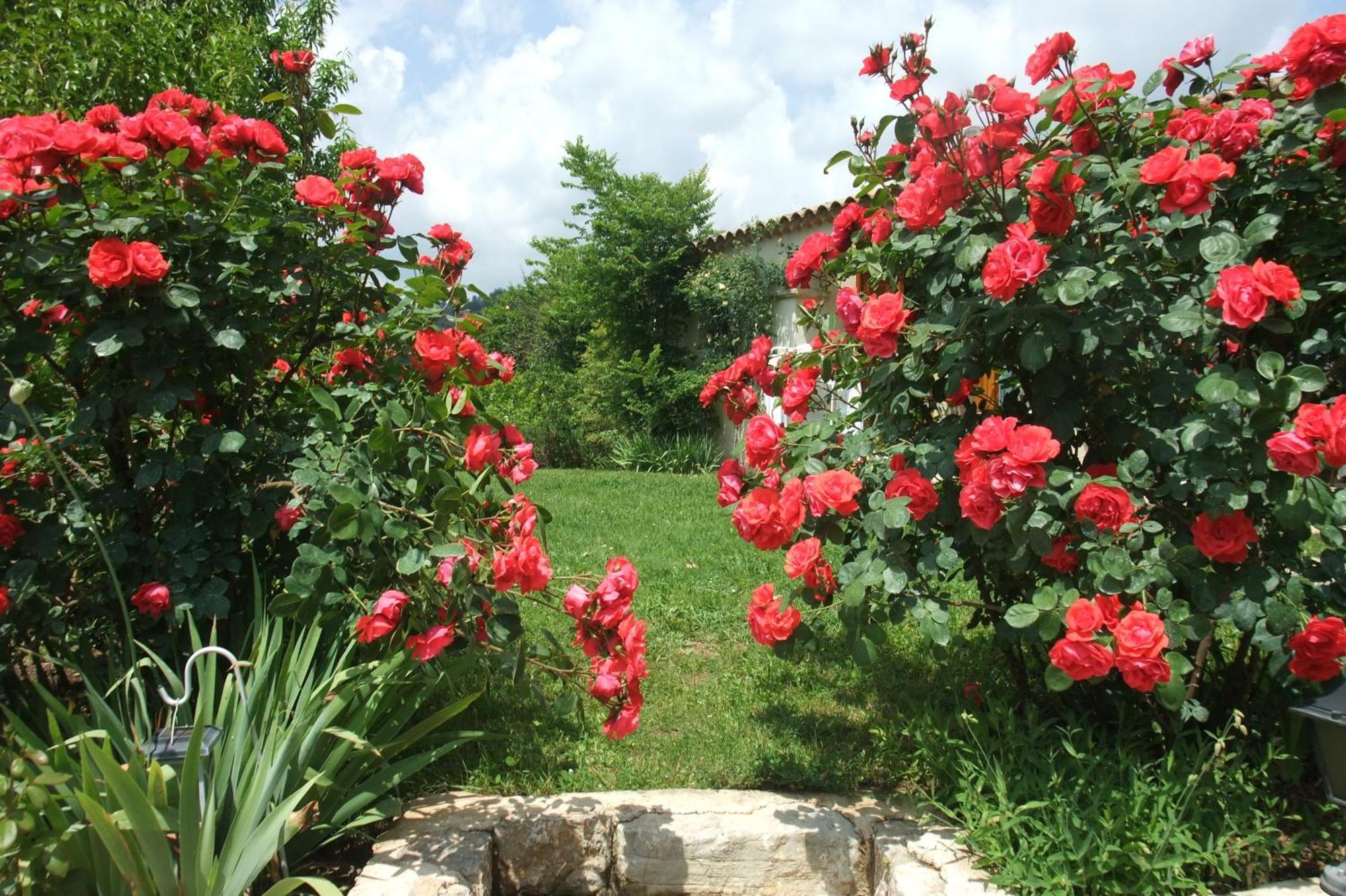Gite La Paillote Montauroux Dış mekan fotoğraf