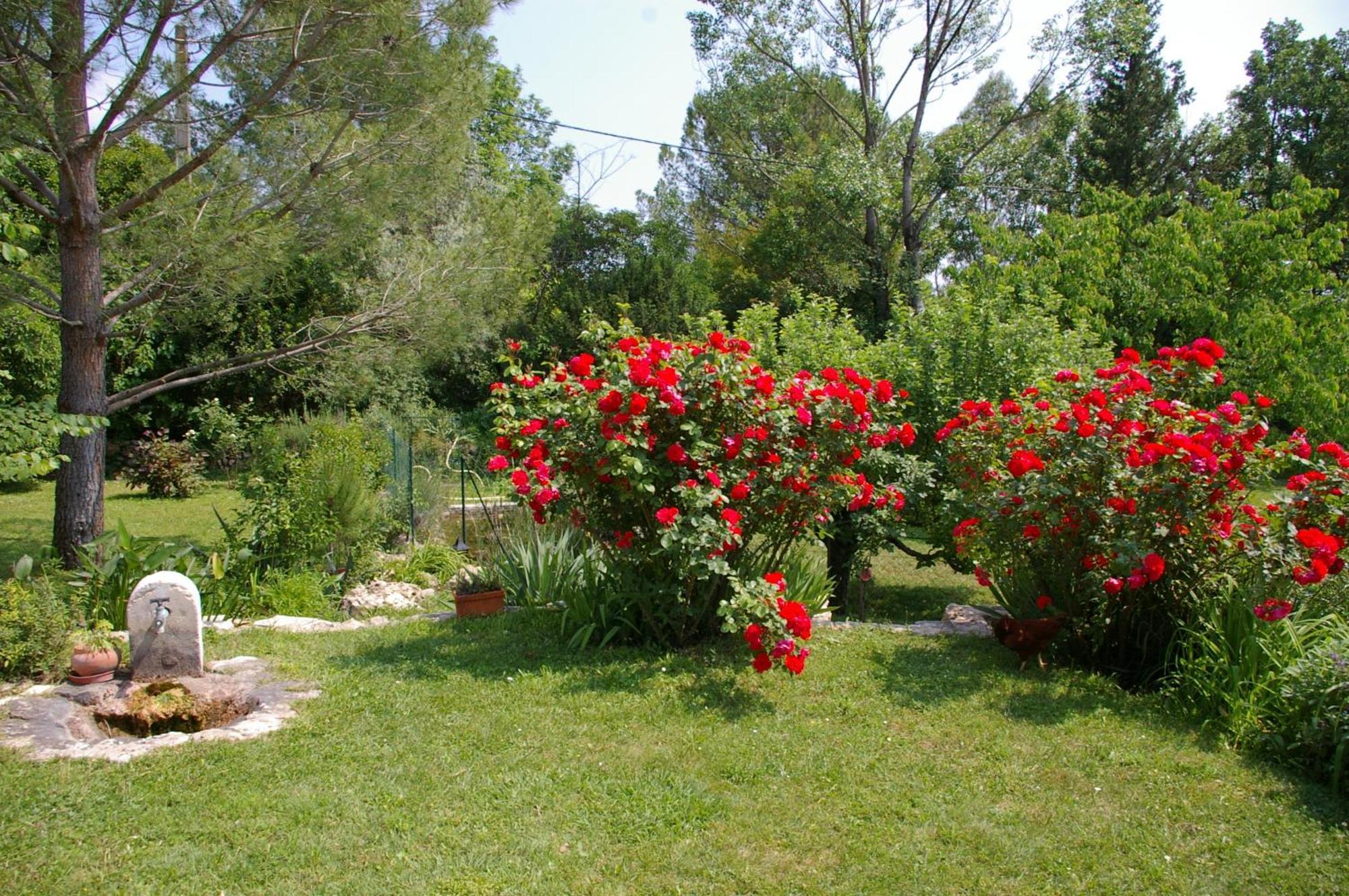Gite La Paillote Montauroux Dış mekan fotoğraf